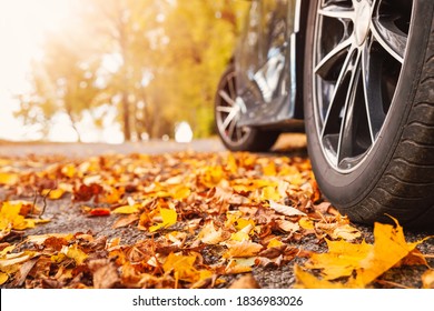 Auto auf Asphalt Straße im Herbst Tag im Park. Farbige Blätter liegen unter den Rädern des Fahrzeugs.