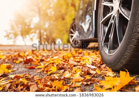 Car on asphalt road on autumnr day at park. Colored leaves lying under the wheels of the vehicle.