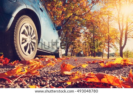 Similar – Image, Stock Photo Road Trip in Fall road