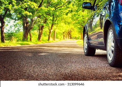 Car on asphalt road on summer day at park