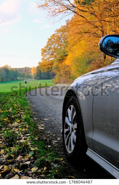 Car\
on the autumn road. Autumn travel and trips.Road view. Silver color\
car on the road  with trees with yellow foliage  in the\
sunshine.Autumn landscape. Fall season.Autumn\
time.