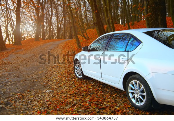 car on a forest\
path. Fallen leaves. Sunset