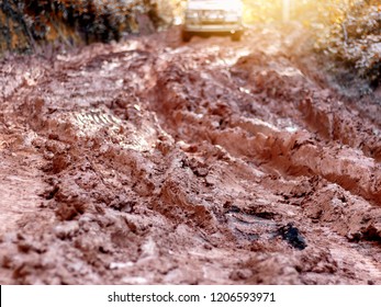 Car On A Mud Road In Forest. Off-road Tire Covered With Mud,