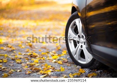 The car on the nature. Wheels and tyres closeup near autumn park