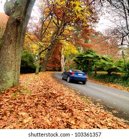 Car On The Road