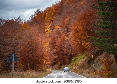 Car On A Road In An Autumn Forest Among Colorful Trees, Natural Seasonal Lanscape