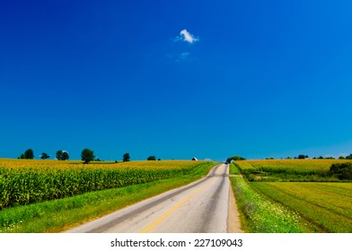 Car On A Road Between Cornfields In Upstate New York, USA