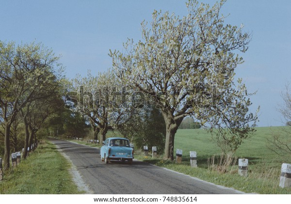 Car on the road with blooming cherry trees in\
spring. Near Ubar town, Salzwedel district, German Democratic\
Republic. 1987. Scan of slide\
film.