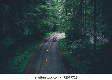 Car On The Road At Redwoods National And State Park, California, United Stated