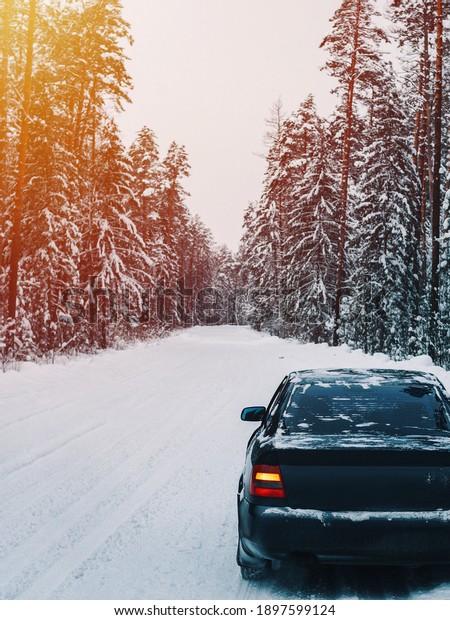 Car on winter\
snow road in coniferous\
forest