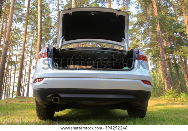 car with an\
open luggage carrier in wood on\
glade
