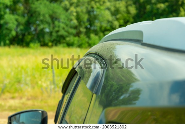 Car overlooking the green\
forest.
