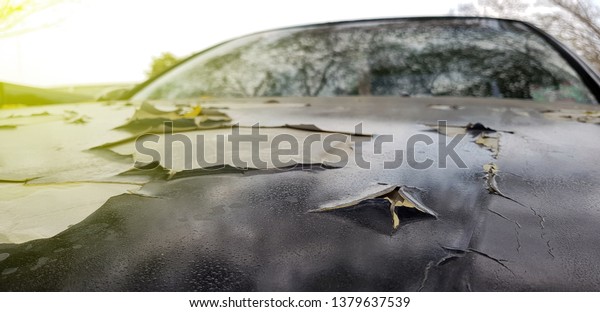 Car paint cracks , Cracked painted
metal surface of a red car,Big rust hole on the old car,Damaged
rust hole on painted metal surface of a car, Detail
closeup