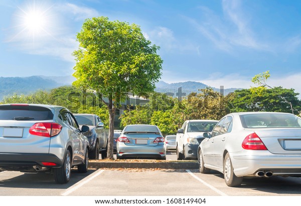 Car parked in asphalt parking lot\
and empty space parking with trees,sun, mountain, blue sky\
background. Outdoor parking lot with fresh nature, green\
environment transportation and technology\
Outdoor\
