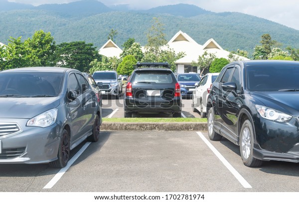 Car parked in asphalt parking lot and one empty\
space parking  in nature with trees mountain and hall building\
background. Outdoor parking lot with fresh ozone and green\
environment concept\
