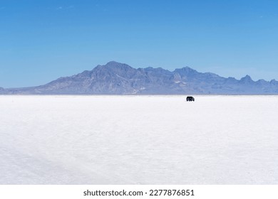 A car parked on the Bonneville Salt Flats - Powered by Shutterstock
