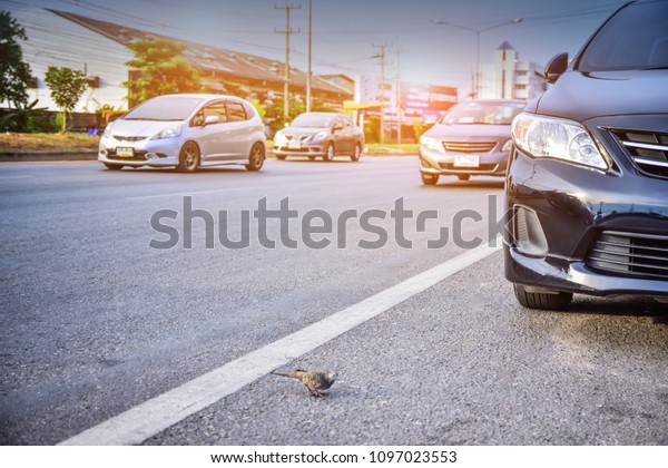 Car parked on road,Car on street and driving on\
highway road