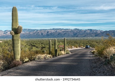 A Car Parked At A Scenic Viewpoint In Saguaro National Park With Saguaro Cactus And Mountains In The Background.