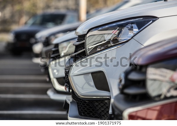 Car\
parking in asphalt parking lot  Outdoor parking lot with fresh\
ozone and green environment of transportation\
concept
