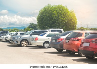 Car parking in asphalt parking lot with trees, blue sky background . Outdoor parking lot in a park