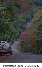 A Car Is Parking On A Side Steep Hill  Road With Colorful Autumn Forest