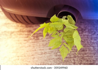 Car Pipe Exhaust Muffler Rejecting Carbon Dioxide With A Plant With Green Leaves Growing Outside, Slide Leak Vintage Style