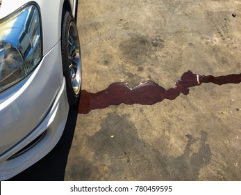 Car Radiator Leak To The Floor