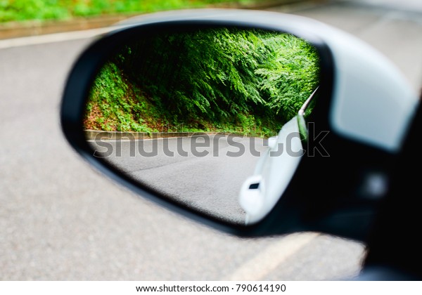 car rear\
mirror view of mountain road in spring\
time