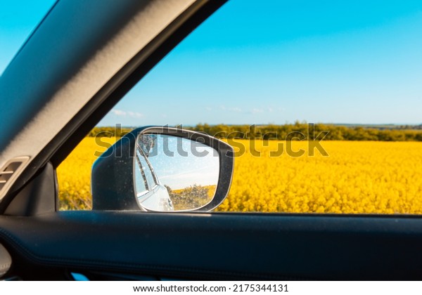 car\
rear view mirror yellow field in window copy\
space