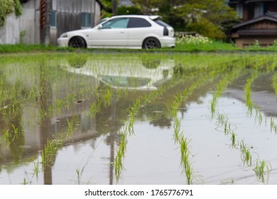 A Car Reflected In A Freshly Watered Paddy Field