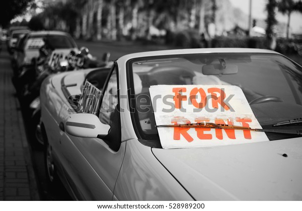 car for rent in the street at resort, time\
for traveling, palm trees on a\
background