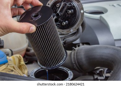 Car Repair, Fuel Filter Replacement.