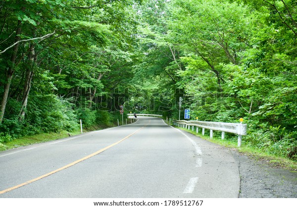 The car road in the\
Japanese forest.\
The Japanese word on the blue signboard  shows\
this road name. 