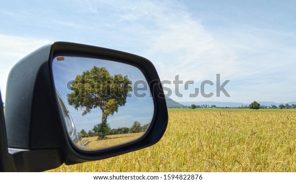 Car running through the fields In the side mirror\
of the car you will see a big tree on the side of the road, car\
rearview mirror.