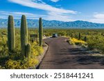 A car at a scenic overlook at Saguaro National Park, Tucson, Arizona USA. High quality landscape photo with saguaro cactus, a blue car, mountains, and a blue sky with clouds.