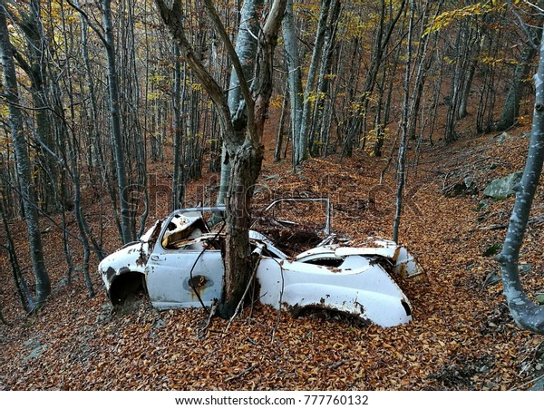 car scrap in the\
woods