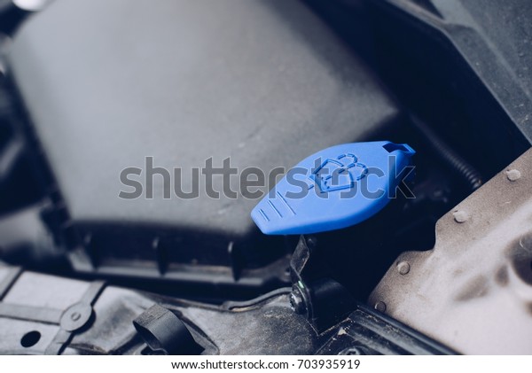 Car screen
washer container cap. Car
maintenance
