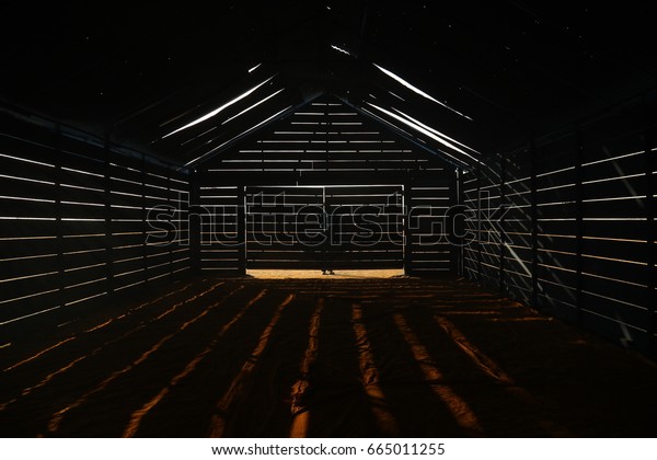 Car Shed in the\
Night