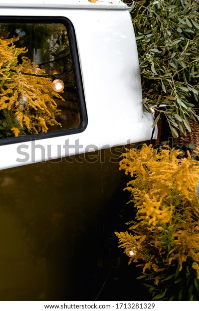 car, side windows of the car. decorated with\
flowers, mimosa