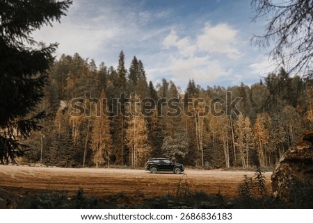 A car is slowly driving down a bumpy dirt road that winds through the dense woods of nature, surrounded by tall trees and greenery