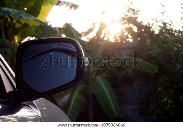 car stop on\
garden view on mirror beside of\
car.