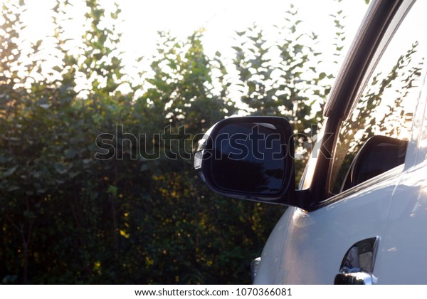 car stop on\
garden view on mirror beside of\
car.