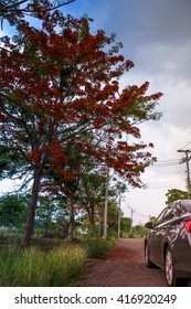Car stopping by road side 