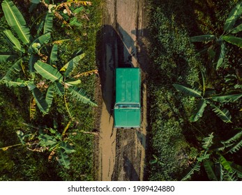 Car Stuck In Banana Garden