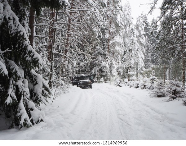 Car stuck in a snowy\
forest.