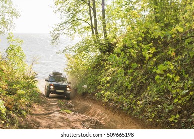 Car SUV On Forest Road