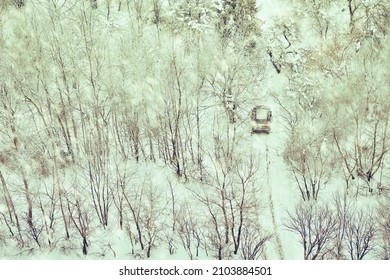 Car SUV On The Road In A Snowy Winter Forest, Top View Of Trees In The Snow