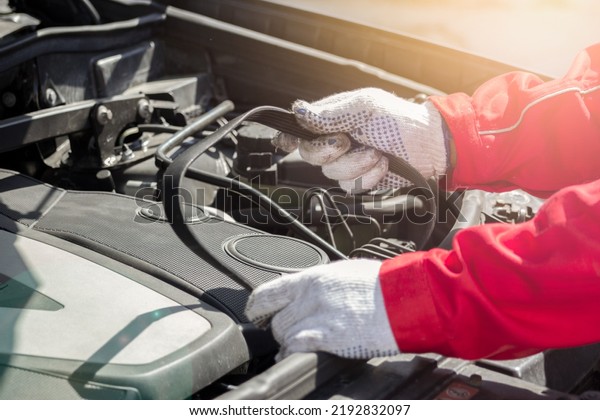Car timing belt in the hands of an auto mechanic.\
Under the hood replacing the belt. Timely maintenance in a car\
service