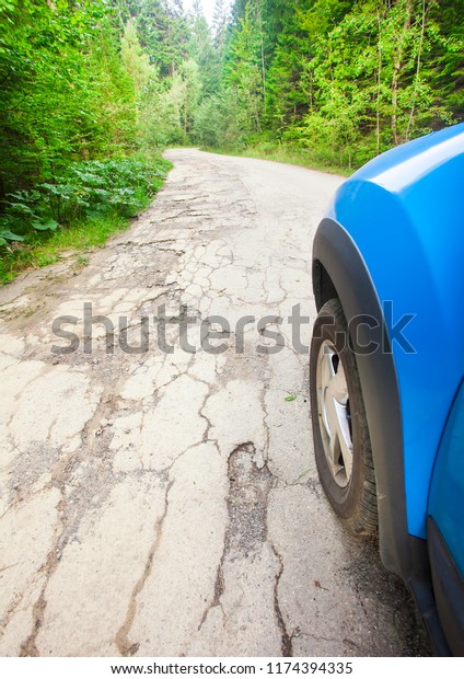 car tire and
cracked damaged road in the
forest