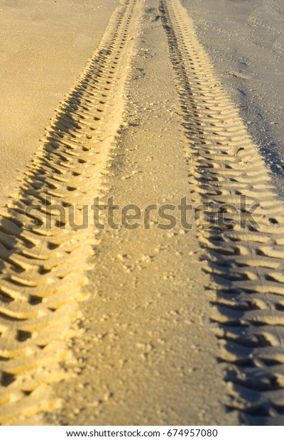 Car Tire Mark\
In The Sand at golden light